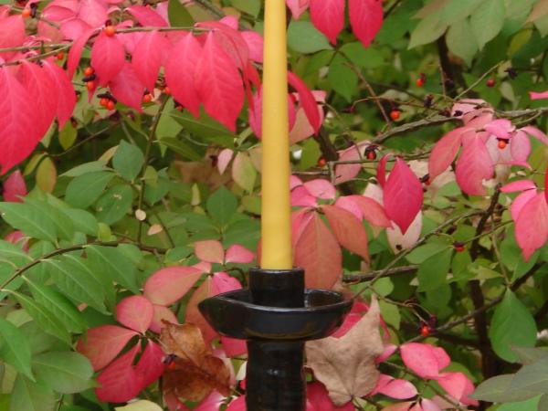 Handmade 2 Pure Beeswax Taper Candles, All Natural, Kulina Folk Art